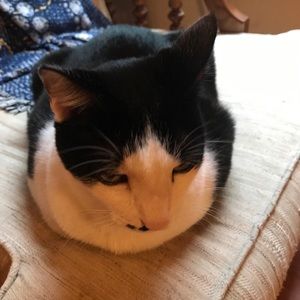 Meet your Posher, Teri